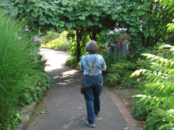 ARBOUR AHEAD