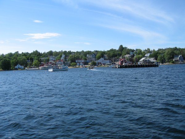 LOOKING BACK TO HARBOUR