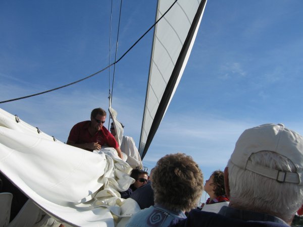 DOWN MAIN SAIL