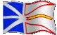 NEWFOUNDLAND
