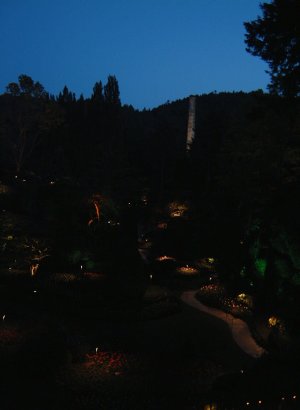 AT NIGHT