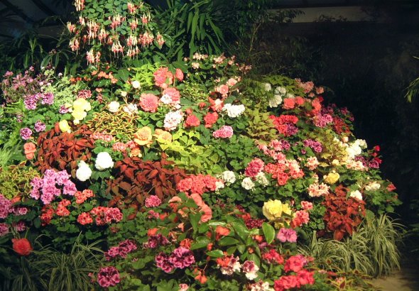 FLORAL DISPLAY