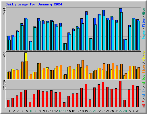 Daily usage for January 2024