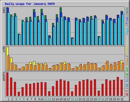 Daily usage for January 2025