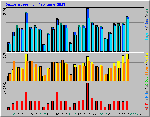 Daily usage for February 2025