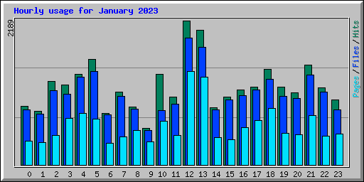 Hourly usage for January 2023