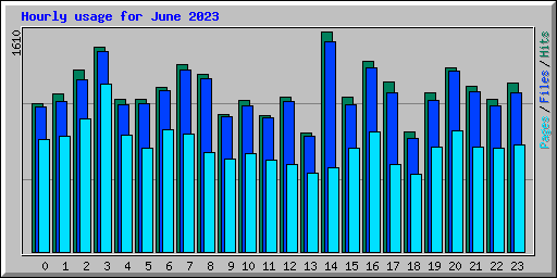 Hourly usage for June 2023