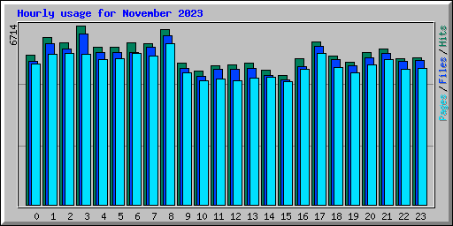 Hourly usage for November 2023