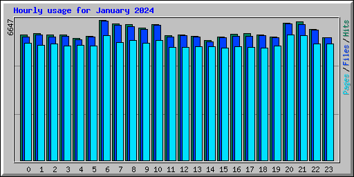 Hourly usage for January 2024
