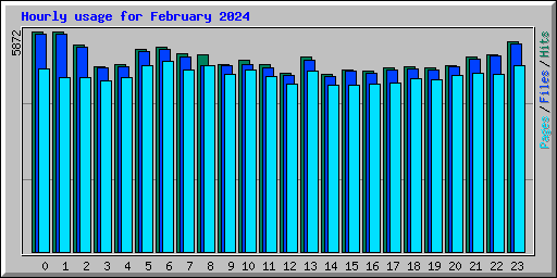 Hourly usage for February 2024