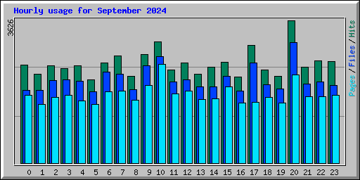 Hourly usage for September 2024