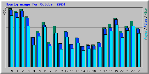 Hourly usage for October 2024