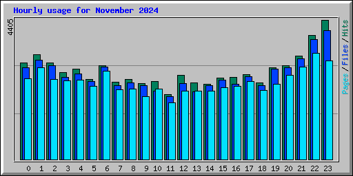 Hourly usage for November 2024