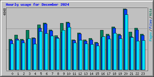 Hourly usage for December 2024