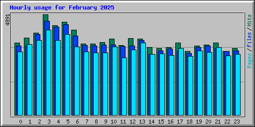 Hourly usage for February 2025