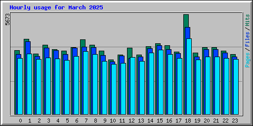 Hourly usage for March 2025