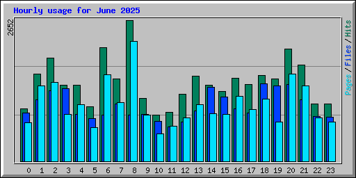Hourly usage for June 2025