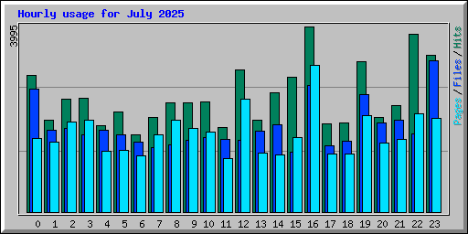Hourly usage for July 2025
