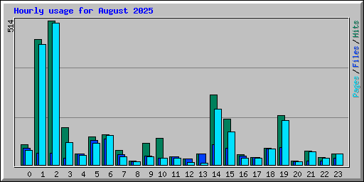 Hourly usage for August 2025