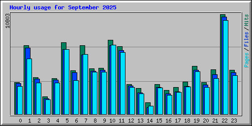 Hourly usage for September 2025