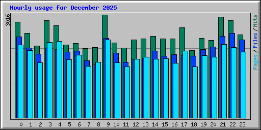 Hourly usage for December 2025