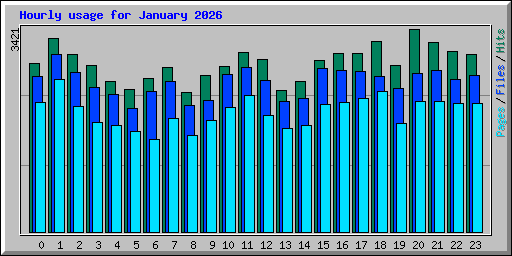 Hourly usage for January 2026