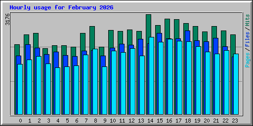 Hourly usage for February 2026