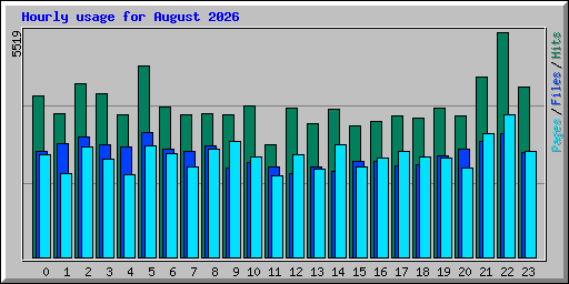 Hourly usage for August 2026