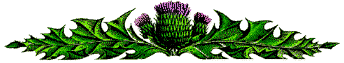 THISTLE